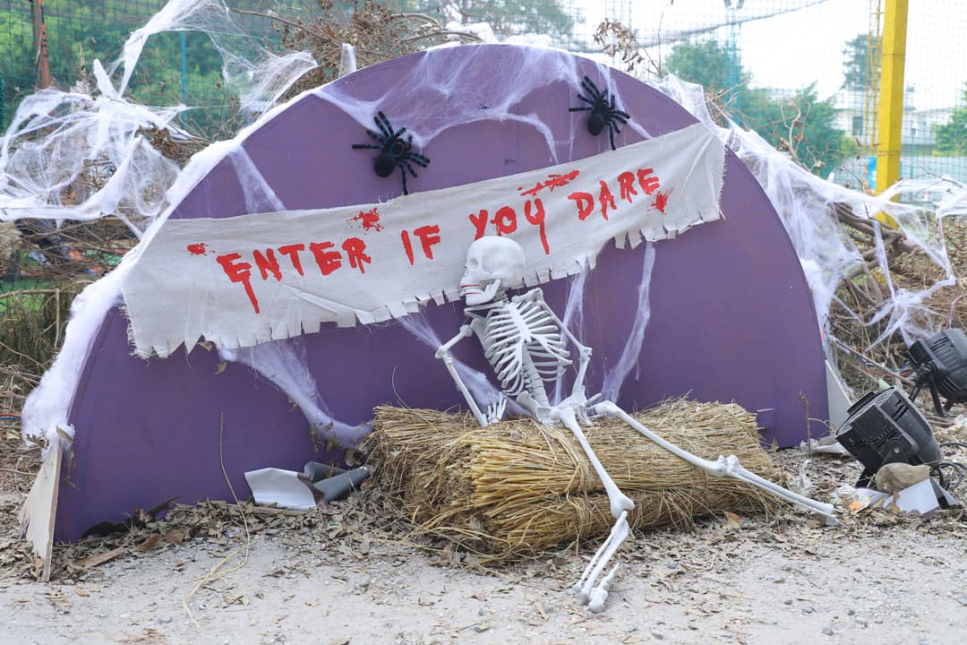 Halloween - Image 13