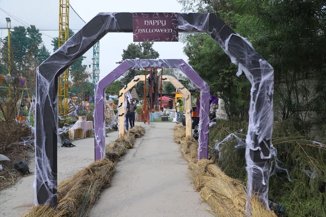 Halloween - Image 14
