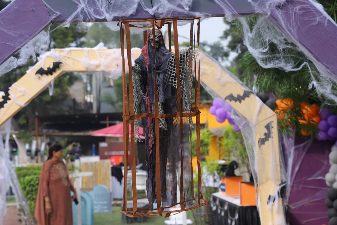 Halloween - Image 15