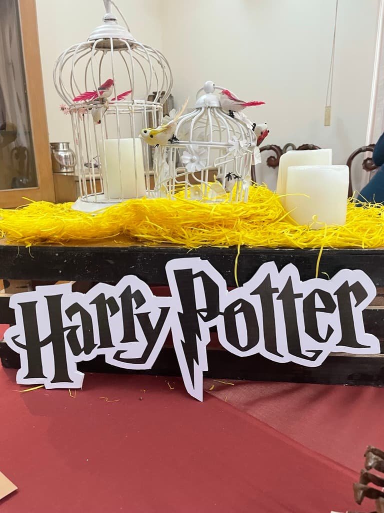 Harry Potter - Image 1